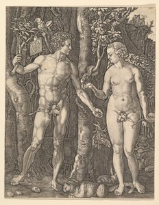 Adam a Eva, 1566. od Albrecht Dürer