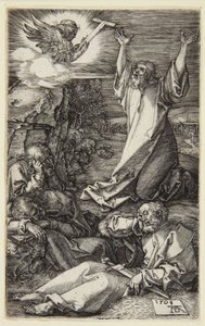  od Albrecht Dürer
