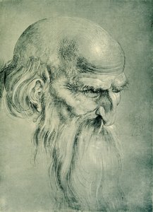 Hlava apoštola od Albrecht Dürer