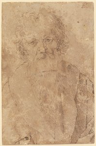  od Albrecht Dürer