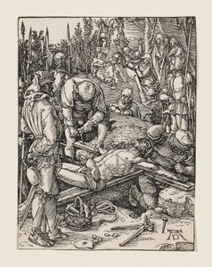  od Albrecht Dürer