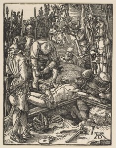  od Albrecht Dürer