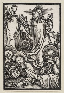  od Albrecht Dürer