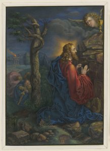  od Albrecht Dürer