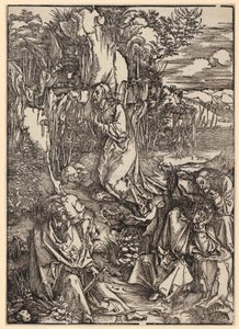  od Albrecht Dürer