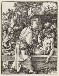  od Albrecht Dürer