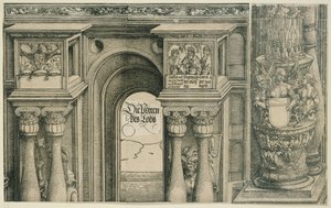  od Albrecht Dürer