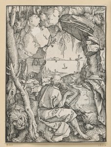 Svatý Jeroným ve skalní jeskyni od Albrecht Dürer