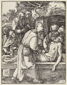  od Albrecht Dürer