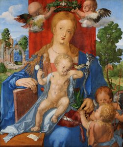  od Albrecht Dürer