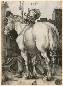 Velký kůň od Albrecht Dürer