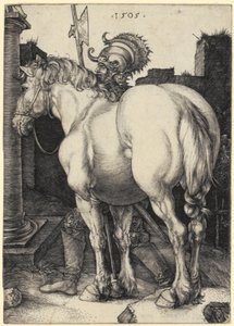 Velký kůň od Albrecht Dürer