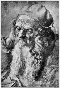 Hlava starého muže, konec 15.-začátek 16. století, 1912. od Albrecht Dürer