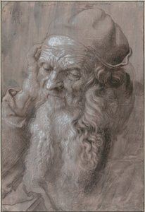 Hlava starého muže od Albrecht Dürer