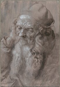 Hlava starého muže, 1521 od Albrecht Dürer