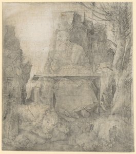 Svatý Jeroným vedle vrby od Albrecht Dürer