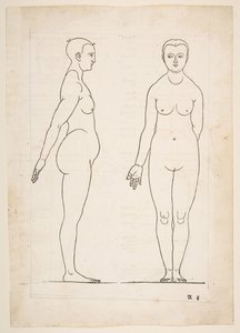 Ilustrace z Dürerových Čtyř knih o lidské proporci, Norimberk, 1528.n.d. od Albrecht Dürer
