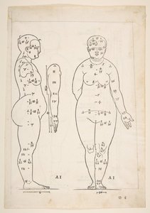 Ilustrace z Dürerových Čtyř knih o lidském poměru, Norimberk, 1528.n.d. od Albrecht Dürer