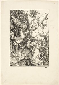 Joachim a anděl ze Života Panny od Albrecht Dürer