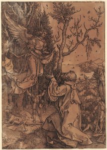  od Albrecht Dürer