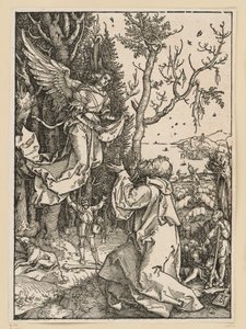  od Albrecht Dürer