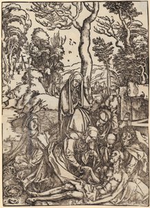  od Albrecht Dürer