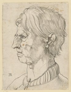 Hlava staršího vousatého muže, z profilu doleva od Albrecht Dürer