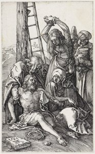  od Albrecht Dürer
