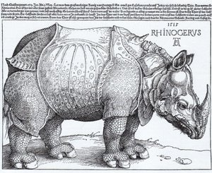 Latinsky:  Rhinocerus Nosorožec od Albrecht Dürer