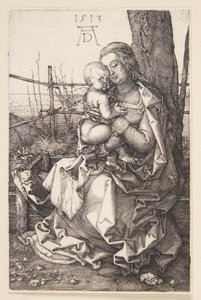 Madonna kojící od Albrecht Dürer