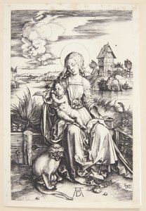 Madonna s opicí od Albrecht Dürer