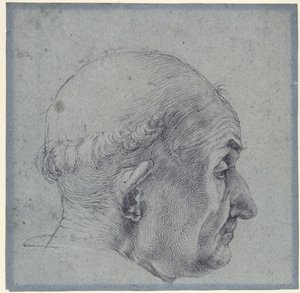 Mužská hlava z profilu od Albrecht Dürer