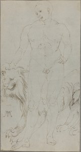 Mužský akt se lvem [verso] od Albrecht Dürer
