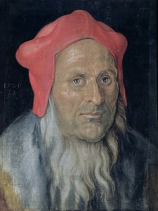 Portrét vousatého muže v červeném klobouku, 1520 od Albrecht Dürer