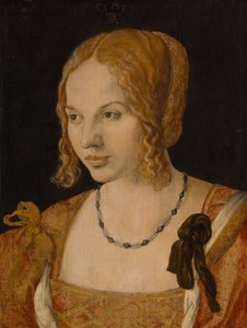 Portrét mladé benátské ženy, 1505 od Albrecht Dürer