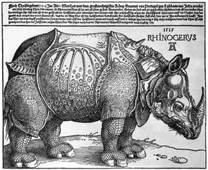 Nosorožec, tisk darovaný Maxmiliánovi I. králem Lisabonu, 1515, 1936 od Albrecht Dürer