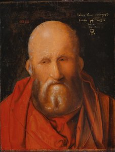 Svatý Jeroným, 1514. od Albrecht Dürer