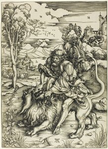 Samson Rending the Lion od Albrecht Dürer
