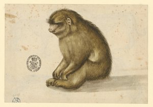  od Albrecht Dürer