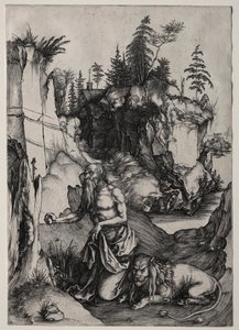 Svatý Jeroným v Pokání od Albrecht Dürer