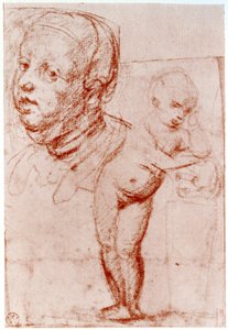 Studie, 1913. od Albrecht Dürer