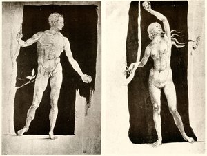 Studie o Adamovi a Evě od Albrecht Dürer