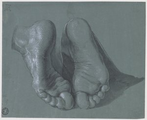 Studie dvou nohou od Albrecht Dürer