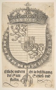 Zbraně Ferdinanda I., krále uherského a českého.n.d. od Albrecht Dürer