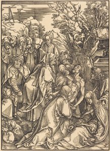 od Albrecht Dürer