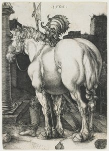 Velký kůň od Albrecht Dürer