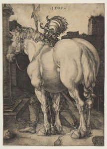  od Albrecht Dürer