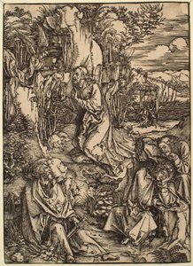  od Albrecht Dürer
