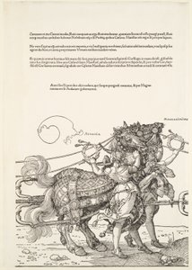  od Albrecht Dürer