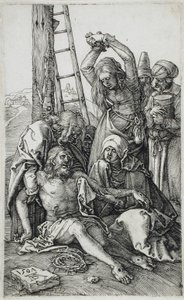  od Albrecht Dürer